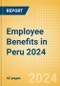 Employee Benefits in Peru 2024 - Product Image