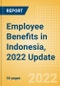 Employee Benefits in Indonesia, 2022 Update - Key Regulations, Statutory Public and Private Benefits, and Industry Analysis - Product Thumbnail Image