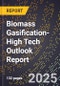 2025 Global Forecast for Biomass Gasification (2026-2031 Outlook)-High Tech Outlook Report - Product Thumbnail Image