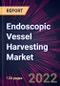 Endoscopic Vessel Harvesting Market 2024-2028 - Product Image