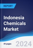 Indonesia Chemicals Market Summary, Competitive Analysis and Forecast to 2028- Product Image