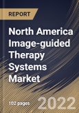 North America Image-guided Therapy Systems Market Size, Share & Industry Trends Analysis Report By Application, By End User, By Product, By Country and Growth Forecast, 2022 - 2028- Product Image