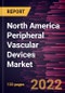 North America Peripheral Vascular Devices Market Forecast to 2028 - COVID-19 Impact and Regional Analysis - by Product and End User - Product Thumbnail Image