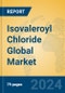 Isovaleroyl Chloride Global Market Insights 2024, Analysis and Forecast to 2029, by Manufacturers, Regions, Technology, Application - Product Image