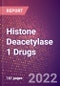 Histone Deacetylase 1 (HDAC1 or EC 3.5.1.98) Drugs in Development by Therapy Areas and Indications, Stages, MoA, RoA, Molecule Type and Key Players, 2022 Update - Product Thumbnail Image