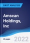 Amscan Holdings, Inc - Strategy, SWOT and Corporate Finance Report - Product Thumbnail Image