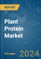 Plant Protein - Market Share Analysis, Industry Trends & Statistics, Growth Forecasts 2017 - 2029 - Product Thumbnail Image