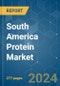 South America Protein - Market Share Analysis, Industry Trends & Statistics, Growth Forecasts 2017 - 2029 - Product Thumbnail Image