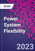 Power System Flexibility- Product Image