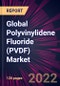 Global Polyvinylidene Fluoride (PVDF) Market 2022-2026 - Product Thumbnail Image