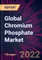 Global Chromium Phosphate Market 2022-2026 - Product Thumbnail Image
