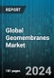 Global Geomembranes Market by Raw Material (Additives, Resin), Manufacturing Process (Calendering, Extrusion), Application - Forecast 2024-2030 - Product Image