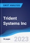 Trident Systems Inc - Company Profile and SWOT Analysis - Product Thumbnail Image