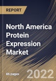 North America Protein Expression Market Size, Share & Industry Trends Analysis Report by System, Product, Application, End-user, Country and Growth Forecast, 2022-2028- Product Image