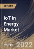 IoT in Energy Market Size, Share & Industry Trends Analysis Report by Application, Network Technology, Component, Organization Size, Regional Outlook and Forecast, 2022-2028- Product Image