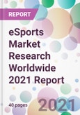 eSports Market Research Worldwide 2021 Report- Product Image