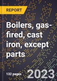 2024 Global Forecast for Boilers, gas-fired, cast iron, except parts (2025-2030 Outlook)-Manufacturing & Markets Report- Product Image