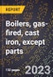 2024 Global Forecast for Boilers, gas-fired, cast iron, except parts (2025-2030 Outlook)-Manufacturing & Markets Report - Product Thumbnail Image