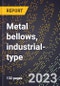 2024 Global Forecast for Metal bellows, industrial-type (2025-2030 Outlook)-Manufacturing & Markets Report - Product Image