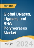 Global DNases, Ligases, and RNA Polymerases Market Size, Share & Trends Analysis Report by Application (DNases-Biopharmaceutical Processing, Ligases- ligonucleotide Synthesis), Region, and Segment Forecasts, 2024-2030- Product Image