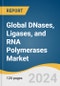 Global DNases, Ligases, and RNA Polymerases Market Size, Share & Trends Analysis Report by Application (DNases-Biopharmaceutical Processing, Ligases- ligonucleotide Synthesis), Region, and Segment Forecasts, 2024-2030 - Product Image