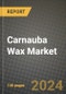 2024 Carnauba Wax Market Outlook Report: Industry Size, Market Shares Data, Insights, Growth Trends, Opportunities, Competition 2023 to 2031 - Product Thumbnail Image