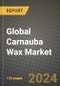 Global Carnauba Wax Market Outlook Report: Industry Size, Competition, Trends and Growth Opportunities by Region, YoY Forecasts from 2024 to 2031 - Product Image