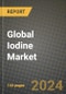 Global Iodine Market Outlook Report: Industry Size, Competition, Trends and Growth Opportunities by Region, YoY Forecasts from 2024 to 2031 - Product Image