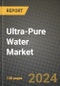 2024 Ultra-Pure Water Market Outlook Report: Industry Size, Market Shares Data, Insights, Growth Trends, Opportunities, Competition 2023 to 2031 - Product Thumbnail Image