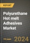 2024 Polyurethane (PU) Hot melt Adhesives Market Outlook Report: Industry Size, Market Shares Data, Insights, Growth Trends, Opportunities, Competition 2023 to 2031 - Product Thumbnail Image