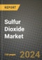 2024 Sulfur Dioxide Market Outlook Report: Industry Size, Market Shares Data, Insights, Growth Trends, Opportunities, Competition 2023 to 2031 - Product Image