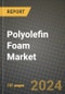 2024 Polyolefin Foam Market Outlook Report: Industry Size, Market Shares Data, Insights, Growth Trends, Opportunities, Competition 2023 to 2031 - Product Thumbnail Image