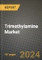 2024 Trimethylamine Market Outlook Report: Industry Size, Market Shares Data, Insights, Growth Trends, Opportunities, Competition 2023 to 2031 - Product Thumbnail Image