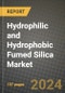 2024 Hydrophilic and Hydrophobic Fumed Silica Market Outlook Report: Industry Size, Market Shares Data, Insights, Growth Trends, Opportunities, Competition 2023 to 2031 - Product Thumbnail Image