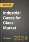 2024 Industrial Gases for Glass Market Outlook Report: Industry Size, Market Shares Data, Insights, Growth Trends, Opportunities, Competition 2023 to 2031 - Product Thumbnail Image