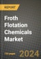 2024 Froth Flotation Chemicals Market Outlook Report: Industry Size, Market Shares Data, Insights, Growth Trends, Opportunities, Competition 2023 to 2031 - Product Image