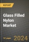 2024 Glass Filled Nylon Market Outlook Report: Industry Size, Market Shares Data, Insights, Growth Trends, Opportunities, Competition 2023 to 2031 - Product Thumbnail Image