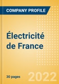 Électricité de France - Digital Transformation Strategies- Product Image