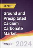Ground and Precipitated Calcium Carbonate Market: Market Size, Trends and Growth Analysis [2024-2030]- Product Image