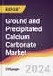 Ground and Precipitated Calcium Carbonate Market: Market Size, Trends and Growth Analysis [2024-2030] - Product Image
