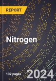 2024 Global Forecast for Nitrogen (2025-2030 Outlook) - Manufacturing & Markets Report- Product Image