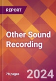 Other Sound Recording - 2024 U.S. Market Research Report with Updated Economic Analysis & Forecasts- Product Image