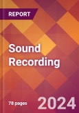 Sound Recording - 2024 U.S. Market Research Report with Updated Economic Analysis & Forecasts- Product Image