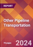 Other Pipeline Transportation - US Industry Market Research Report with Updated Analysis & Forecasts- Product Image