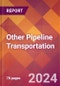 Other Pipeline Transportation - 2024 U.S. Market Research Report with Updated Recession Risk Forecasts - Product Image