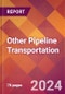 Other Pipeline Transportation - US Industry Market Research Report with Updated Analysis & Forecasts - Product Thumbnail Image