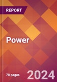 Power - 2024 U.S. Market Research Report with Updated Economic Analysis & Forecasts- Product Image