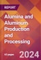 Alumina and Aluminum Production and Processing - 2024 U.S. Market Research Report with Updated Recession Risk Forecasts - Product Thumbnail Image