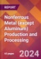 Nonferrous Metal (except Aluminum) Production and Processing - 2024 U.S. Market Research Report with Updated Recession Risk Forecasts - Product Thumbnail Image