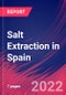 Salt Extraction in Spain - Industry Market Research Report - Product Thumbnail Image